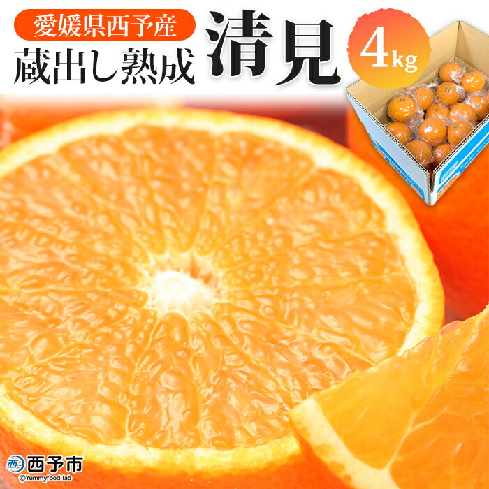【ふるさと納税】先行予約＜愛媛県西予市産 蔵出し熟成清見 約4kg＞ 果物 フルーツ みかん オレンジ きよみ  柑橘 特産品 ご自宅用 家庭用 食べて応援 愛媛県 西予市【常温】『2025年5月上旬～6月中旬迄に順次出荷予定』
