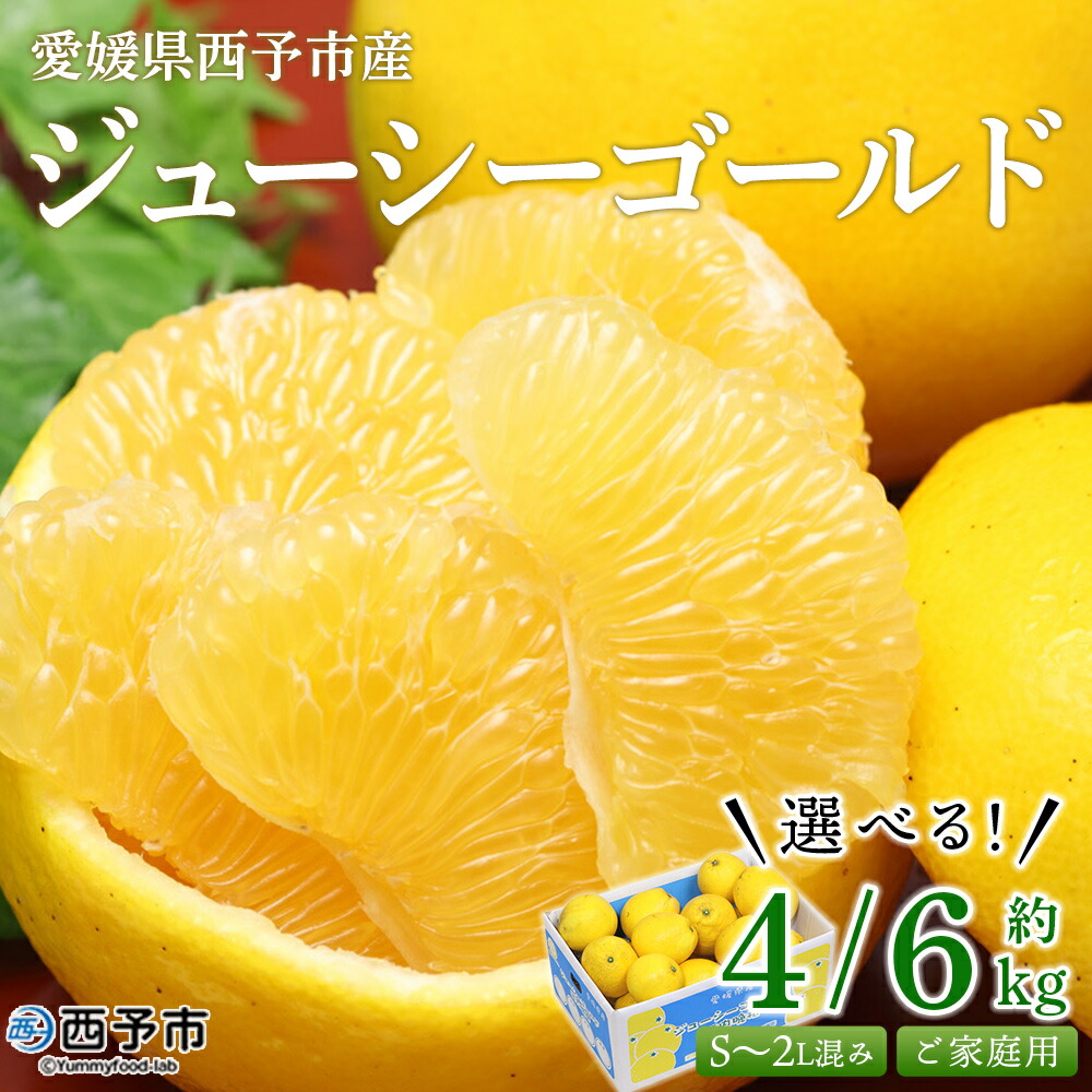 【ふるさと納税】先行予約＜ジューシーゴールド（河内晩柑） ご家庭用 約4kg／6kg＞ 訳あり 果物 フルーツ かわちばんかん じゅーしーごーるど みかん 蜜柑 オレンジ 柑橘 食べて応援 特産品 宇都宮物産 愛媛県 西予市 【常温】『2025年4月中旬～6月中旬迄に順次出荷予定』