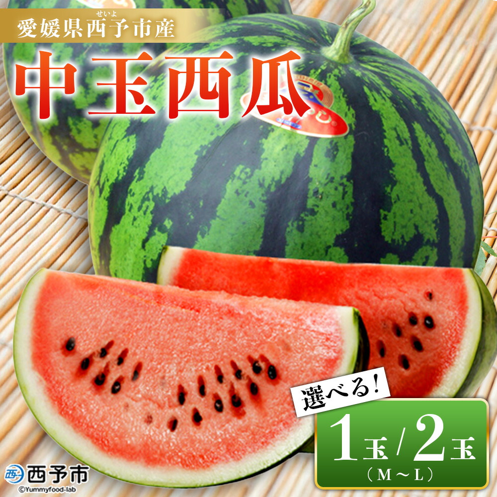 楽天市場】【ふるさと納税】【 先行予約 2025年7月上旬以降発送