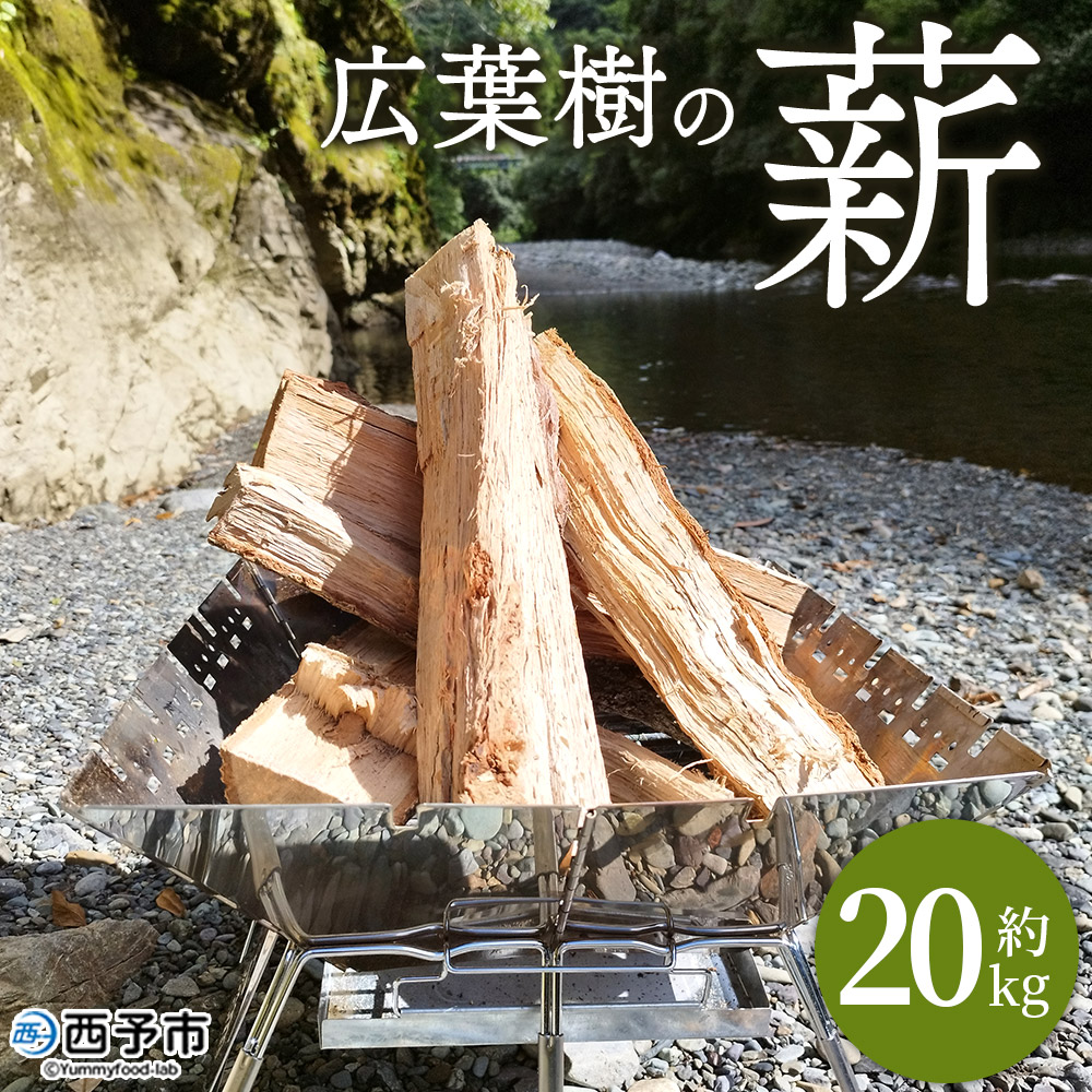 文芸批評社会的運動【西予市 ふるさと納税】