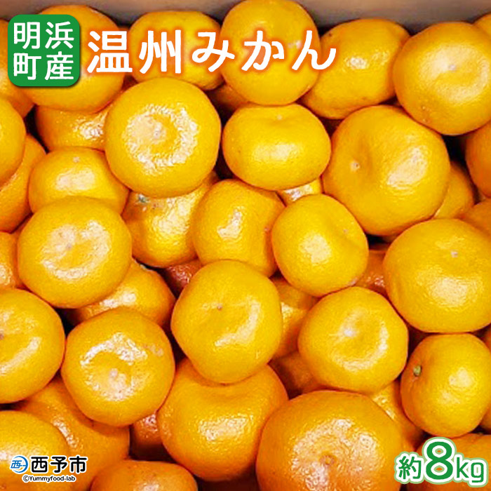 【ふるさと納税】＜産地直送！愛媛県明浜町産 温州みかん 約8kg＞ ミカン 蜜柑 柑橘類 フルーツ 果物 甘い おいしい おすそ分け ギフト 贈答 特産品 季節限定 期間限定 旬 宇都宮農園 愛媛県 西予市【常温】『2025年11月上旬～2026年1月中旬迄に順次出荷予定』