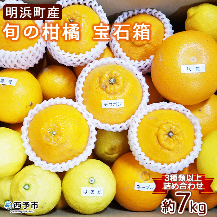 【ふるさと納税】＜愛媛県明浜産 旬の柑橘 宝石箱（3種類以上詰め合わせ）約7kg＞温州みかん ポンカン イヨカン はるか 紅ハッサク ネーブル せとか 不知火 デコポン 清見 紅甘夏 ブラッドオレンジ 宇都宮農園 西予市【常温】『2026年2月上旬～4月上旬迄に順次出荷予定』