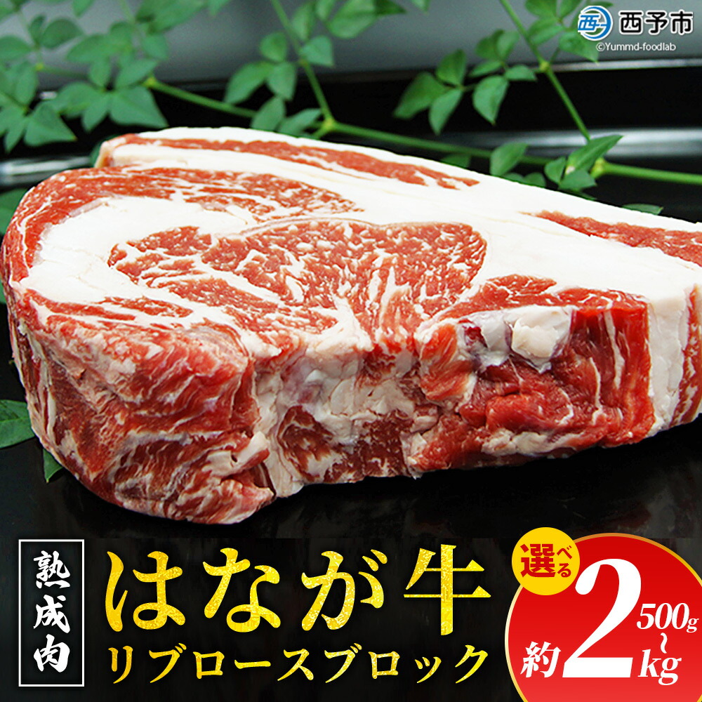 【ふるさと納税】選べる内容量<熟成肉 はなが牛リブロースブロック 約500g~2kg> 牛肉 牛 肉 ステーキ ブランド牛 鉄板焼き 焼肉 国産 塊肉 かたまり 霜降り しもふり バーベキュー BBQ キャンプ アウトドア 特産品 愛媛県 ゆうぼく 西予市【冷凍】『2か月以内に順次発送』|愛媛県西予市