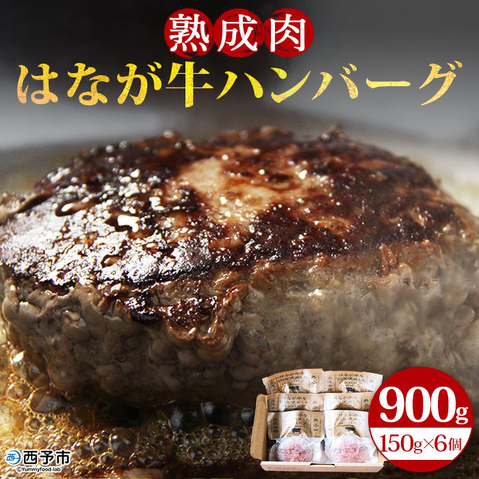 【ふるさと納税】＜熟成肉 はなが牛ハンバーグ 150g×6個 計900g＞ お肉 牛肉 ビーフ 牛100％ 肉加工品 お惣菜 洋食 おかず おつまみ お弁当 ランチ ディナー 国産 小分け 個包装 簡単調理 特産品 ゆうぼく 愛媛県 西予市 【冷凍】『2か月以内に順次出荷予定』