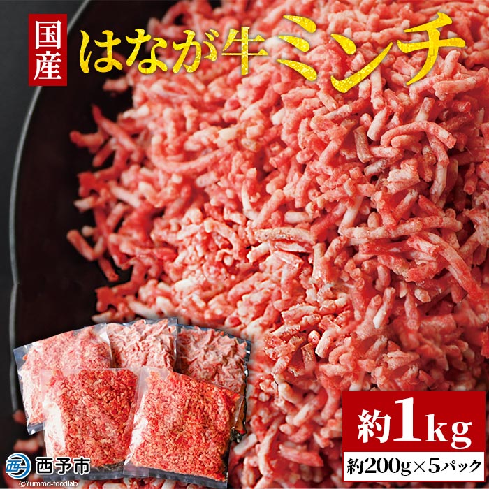 【ふるさと納税】<はなが牛ミンチ 約1kg (約200g×5パック)> 牛肉 国産牛 ハンバーグ 炒め物 煮物 カレー ミートソース パスタ 挽き肉 ひき肉 晩御飯 パーティー 特産品 小分け ゆうぼく 愛媛県 西予市 【冷凍】『2か月以内に順次出荷』|愛媛県西予市