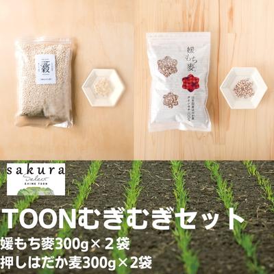 【ふるさと納税】TOONむぎむぎセット 麦 もち麦 はだか麦 食物繊維 ご飯 サラダ スープ もちもち プチプチ 　お届け：ご寄附（入金）確認後、順次配送致します。