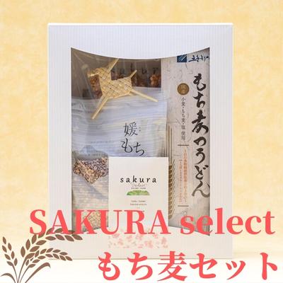 【ふるさと納税】SAKURA select　もち麦セット うどん せんべい 食物繊維 ご飯 サラダ スープ もちもち プチプチ おやつ 夜食 ランチ お茶請け