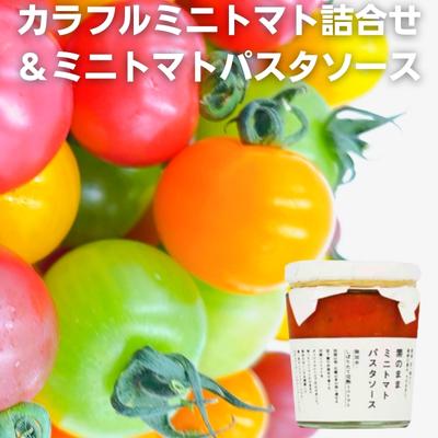 【ふるさと納税】「栗林農園」素のままパスタソースとカラフルミニトマト詰合せ セット 素材の味 無水調理 凝縮 無着色 無香料 化学調味料 不使用 合成保存料 温室栽培 6品種 　お届け：2025年11月上旬～2026年7月中旬