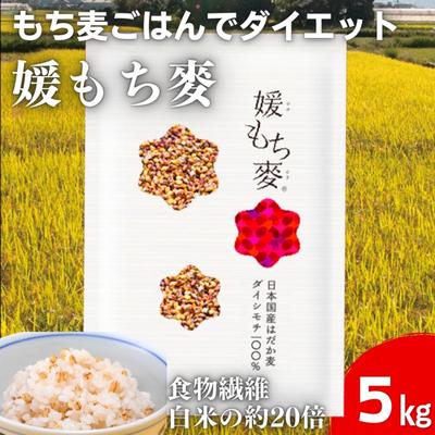 【ふるさと納税】媛もち麥5kgセット＋押しはだか麦300g／もち麦 麦ごはん 雑穀 食物繊維豊富 食物繊維 もちもち プリプリ 食感 食品 食べ物 ご飯 おにぎり お弁当 主食 毎日 炭水化物 国産 日本産 愛媛県産 東温市産 直送 産地直送