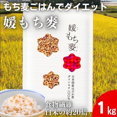 【ふるさと納税】媛もち麥1kg／もち麦 麦ごはん 雑穀 食物繊維豊富 食物繊維 もちもち プリプリ 食感 食品 食べ物 ご飯 おにぎり お弁当 主食 毎日 炭水化物 国産 日本産 愛媛県産 東温市産 直送 産地直送