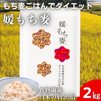 【ふるさと納税】媛もち麥1kg2袋セット／もち麦 麦ごはん 雑穀 食物繊維豊富 食物繊維 もちもち プリプリ 食感 食品 食べ物 ご飯 おにぎり お弁当 主食 毎日 炭水化物 国産 日本産 愛媛県産 東温市産 直送 産地直送