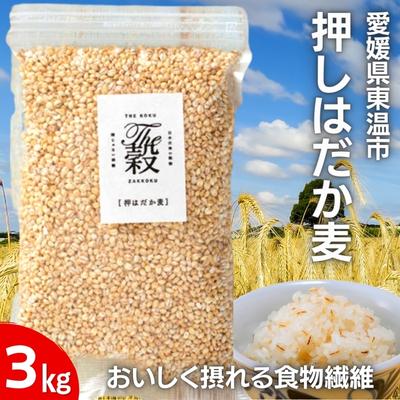 【ふるさと納税】押しはだか麦 計3kg（1kg&times;3袋セット） 食物繊維豊富 食物繊維 食感 プチプチ あっさり 麦ごはん 食品 食べ物 ご飯 おにぎり お弁当 主食 毎日 炭水化物 国産 日本産 愛媛県産 東温市産 直送 産地直送 ｜愛媛県東温市