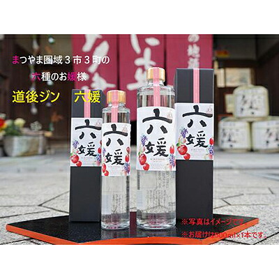 【ふるさと納税】水口酒造 道後ジン「六媛」500ml　クラフトジン スピリッツ 愛媛 お酒 晩酌 家飲み 宅飲み 愛媛県産素材 ボタニカル フレッシュ 華やかな香り 香ばしい香り キレ のかな甘み