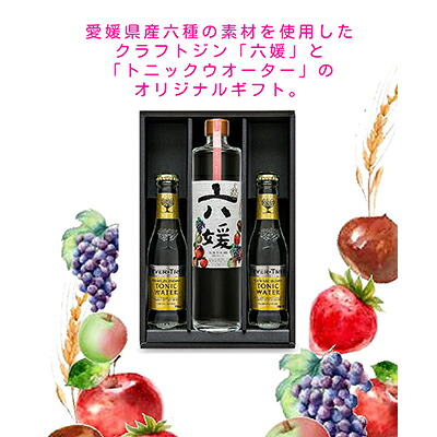 【ふるさと納税】道後ジン 六媛・トニックセット(G6-500) お酒 晩酌 家飲み 宅飲み 愛媛県産素材 ボタニカル 華やかな香り 香ばしい香り キレ のかな甘み トニックウォーター |愛媛県東温市