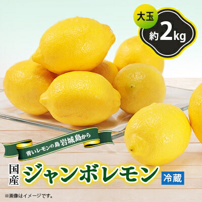 【ふるさと納税】青いレモンの島　ジャンボレモン2kg(冷蔵)【配送不可地域：離島】【1113730】