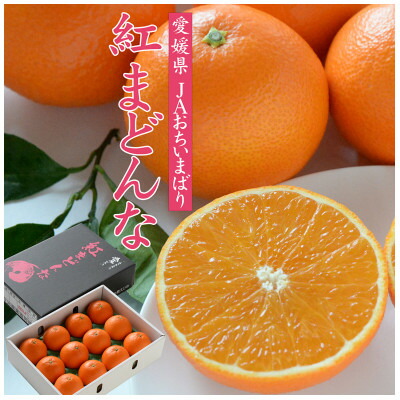 【ふるさと納税】【先行予約】紅まどんな　化粧箱　3L～L　10～15玉　愛媛県　JAおちいまばり【1438675】