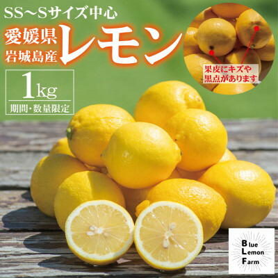 【ふるさと納税】愛媛　ブルーレモンファームの訳ありレモン　1kg　【冷蔵便】期間・数量限定【配送不可地域：離島】【1619476】