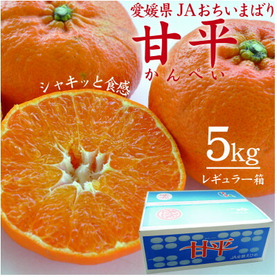 【ふるさと納税】【先行予約】人気柑橘　甘平(かんぺい)レギュラー箱　5kg　愛媛県　JAおちいまばり【配送不可地域：離島】【1622635】