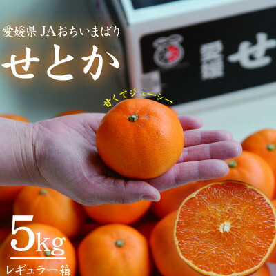【ふるさと納税】【先行予約】せとか　レギュラー箱　5kg　愛媛県JAおちいまばり【配送不可地域：離島】【1622636】