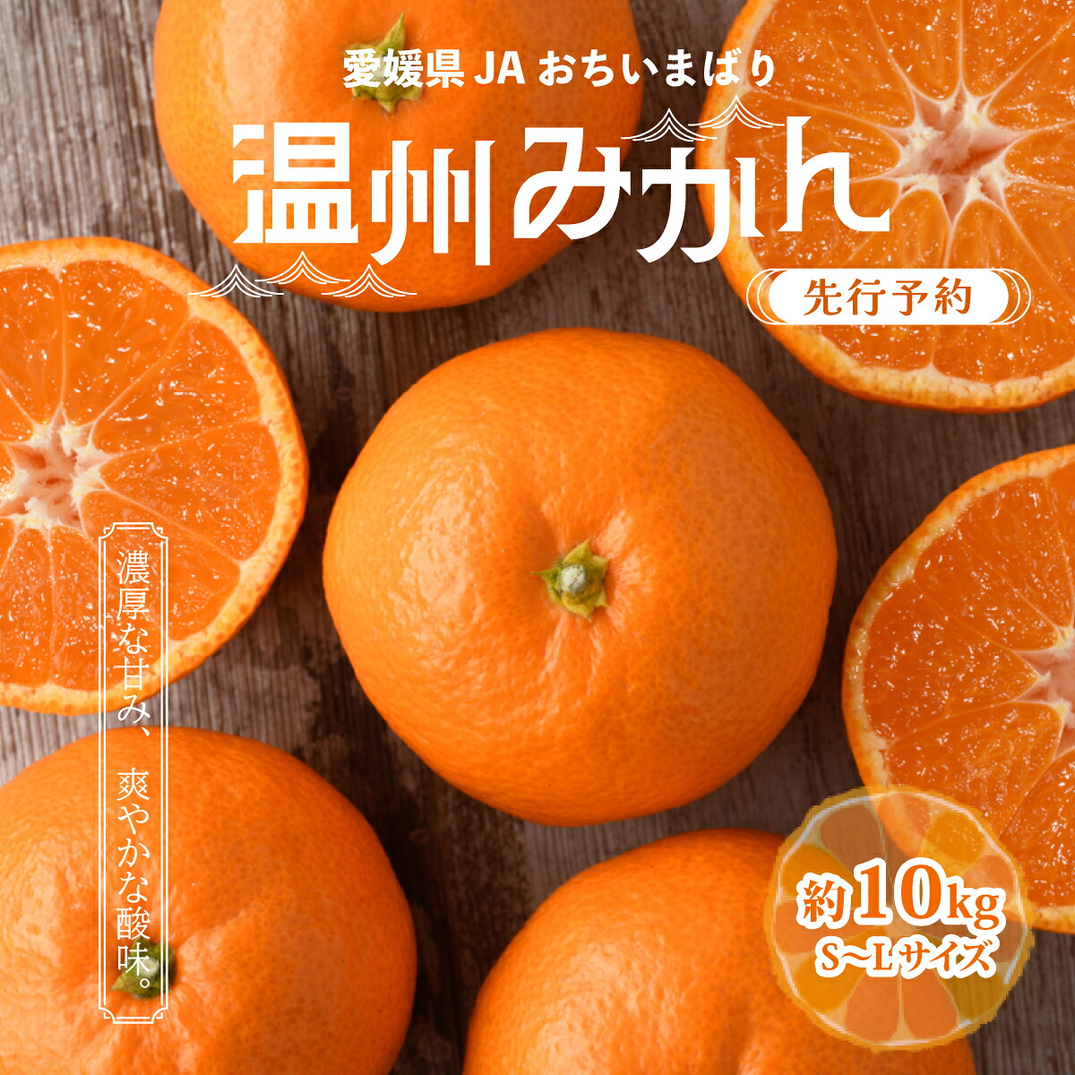 【ふるさと納税】【先行予約】瀬戸内の温州みかん10kg　L～S　JA選果品【1644274】 | みかん ミカン 温州ミカン 温州みかん 甘いみかん 愛媛みかん 果物 フルーツ 柑橘 限定JA選果品｜愛媛県上島町