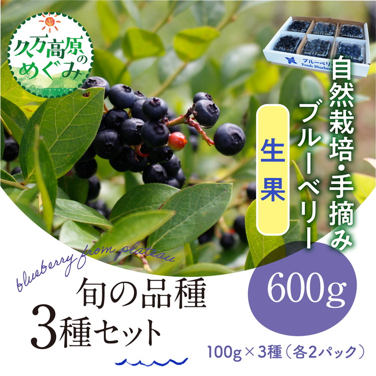 【ふるさと納税】【先行予約】農園直送 手摘み 生果 品種おまかせ ブルーベリー 100g×3種×2パック 計6パック 食べ比べ ※北海道・沖縄・離島への配送不可 ※2025年7月上旬～8月下旬頃に順次発送予定