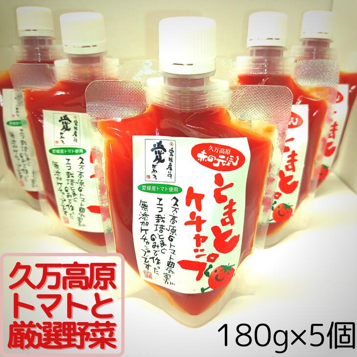 【ふるさと納税】赤の元気「トマトケチャップ」5個セット 無添加◆ | 完熟トマト 詰め合わせ 個包装 トマト ケチャップ 保存料不使用 料理 調味料 濃い 多用途 おすすめ 人気 万能調味料 ベジタブル 濃厚 野菜 ソース パスタ 無添加 愛媛 久万高原町 赤の元気|愛媛県久万高原町
