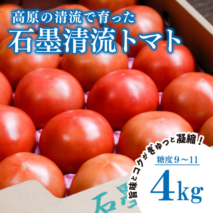【ふるさと納税】＜先行予約＞ トマト4kg 贈答にもおすすめ そのままでも 美味しい 【石墨清流トマト】糖度9～11度 久万高原町 ｜ トマト ヒナタ ジュース 自然栽培 野菜 酸味 甘味 清流 料理 農園 旨み 栄養たっぷり ※離島への配送不可 ※2025年8月上旬頃より順次発送予定