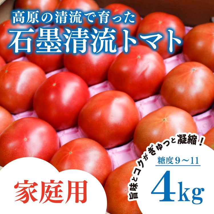 【ふるさと納税】＜先行予約＞ トマト 家庭用 そのままでも 美味しい 【石墨清流トマト】糖度9～11度 久万高原町 ※離島への配送不可 ※2025年8月上旬頃より順次発送予定