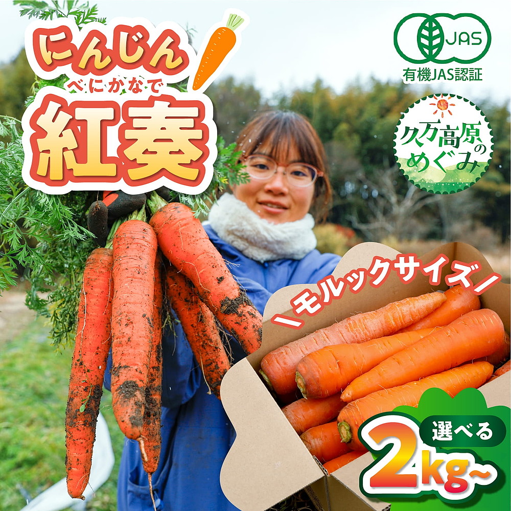 【ふるさと納税】\選べる内容量/【産地直送】【先行予約】モルックサイズ!? 特大にんじん(紅奏)2kg・5kg | 人参 ニンジン ニンジンジュース 有機 JAS 高原野菜 久万高原町 ※離島への配送不可 ※2026年12月上旬~2027年2月上旬頃に順次発送予定|愛媛県久万高原町