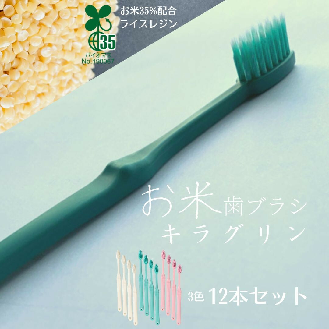 【ふるさと納税】 お米でできた歯ブラシ「キラグリン」３色12本セット