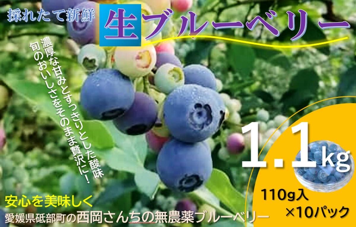 【ふるさと納税】愛媛県砥部町産とれたて新鮮でお届け！生ブルーベリー110ｇ×10パック【期間限定～7/10まで】 冷蔵 甘い アントシアニン デザート フルーツ ヨーグルト スムージー 生 まるごと おやつ 今が旬 　お届け：2025年6月20日から7月25日まで