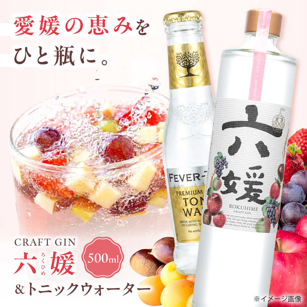 【ふるさと納税】【お中元ギフト】クラフトジン 道後ジン 六媛 500ml&times;1本・トニック 200ml&times;2本 セット / 酒 お酒 炭酸 炭酸水 トニック クラフトジン ジントニック セット 飲み比べ スピリッツ プレゼント ギフト 人気 おすすめ / 愛媛県砥部町/水口酒造株式会社[BJAI002]｜愛媛県砥部町