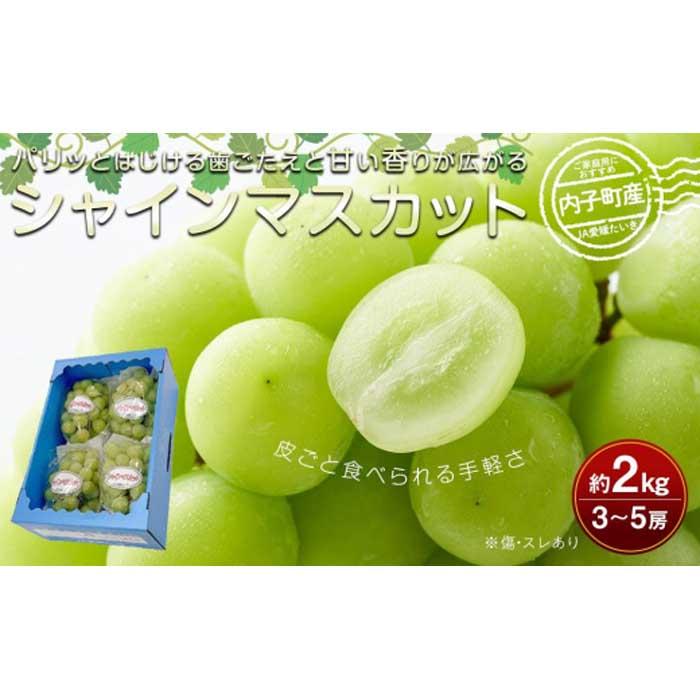 【ふるさと納税】【先行予約】内子町産 シャインマスカット ムジ 3～5房 約2kg ★2025年8月下旬から発送★ | ブドウ 愛媛県産 新鮮 シャインマスカット 旬 フルーツ 果物 くだもの 食品 人気 おすすめ 送料無料