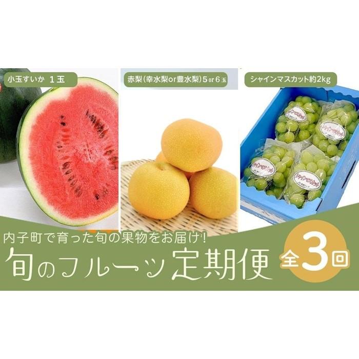 【ふるさと納税】3回定期便　内子町産すいか・梨・ぶどう　旬のフルーツ定期便【北海道・沖縄配送不可】 | フルーツ 果物 くだもの 食品 人気 おすすめ 送料無料