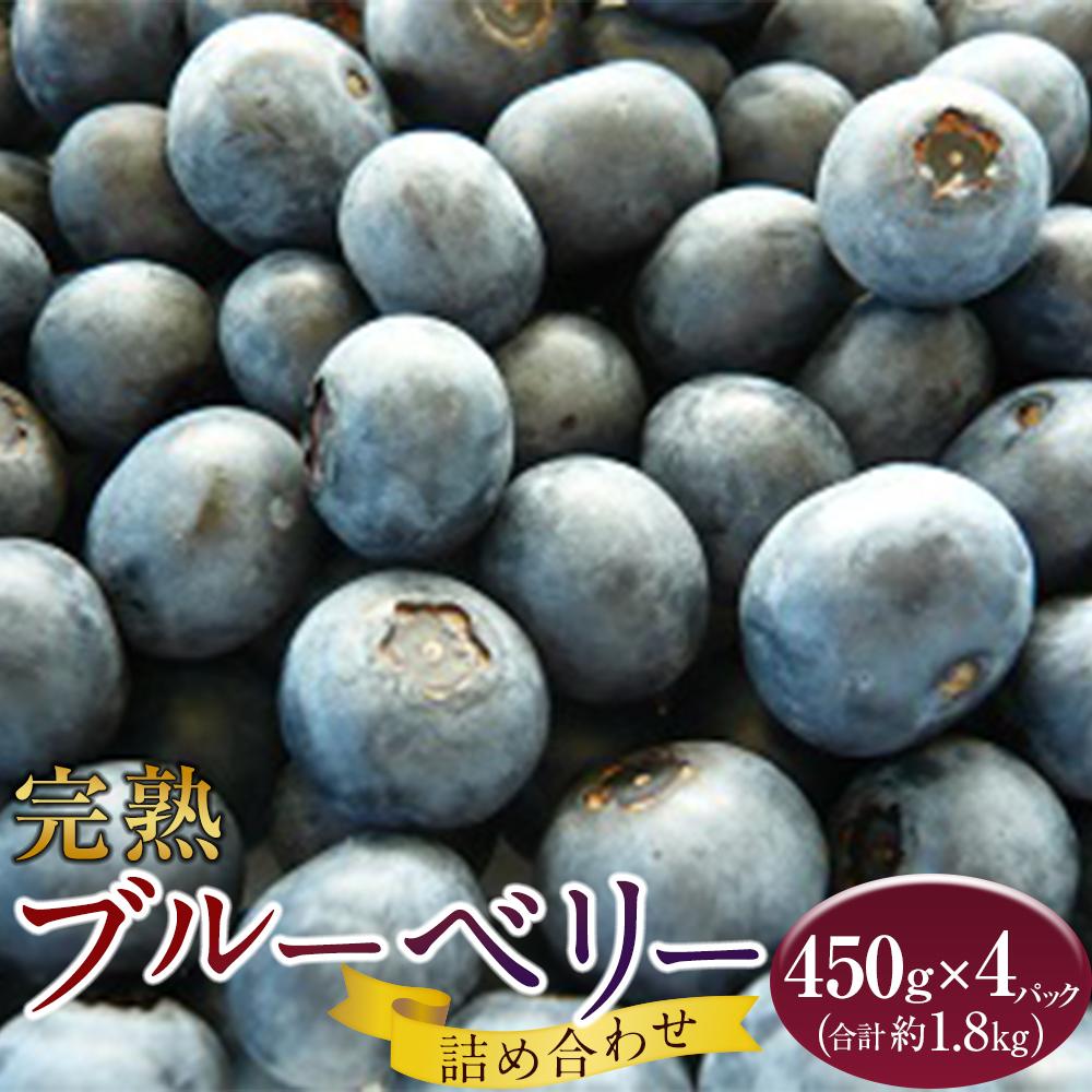 【ふるさと納税】手摘みブルーベリー詰め合わせ（450g×4パック）＜2025年7月下旬より発送＞ | フルーツ 果物 くだもの 食品 人気 おすすめ 送料無料