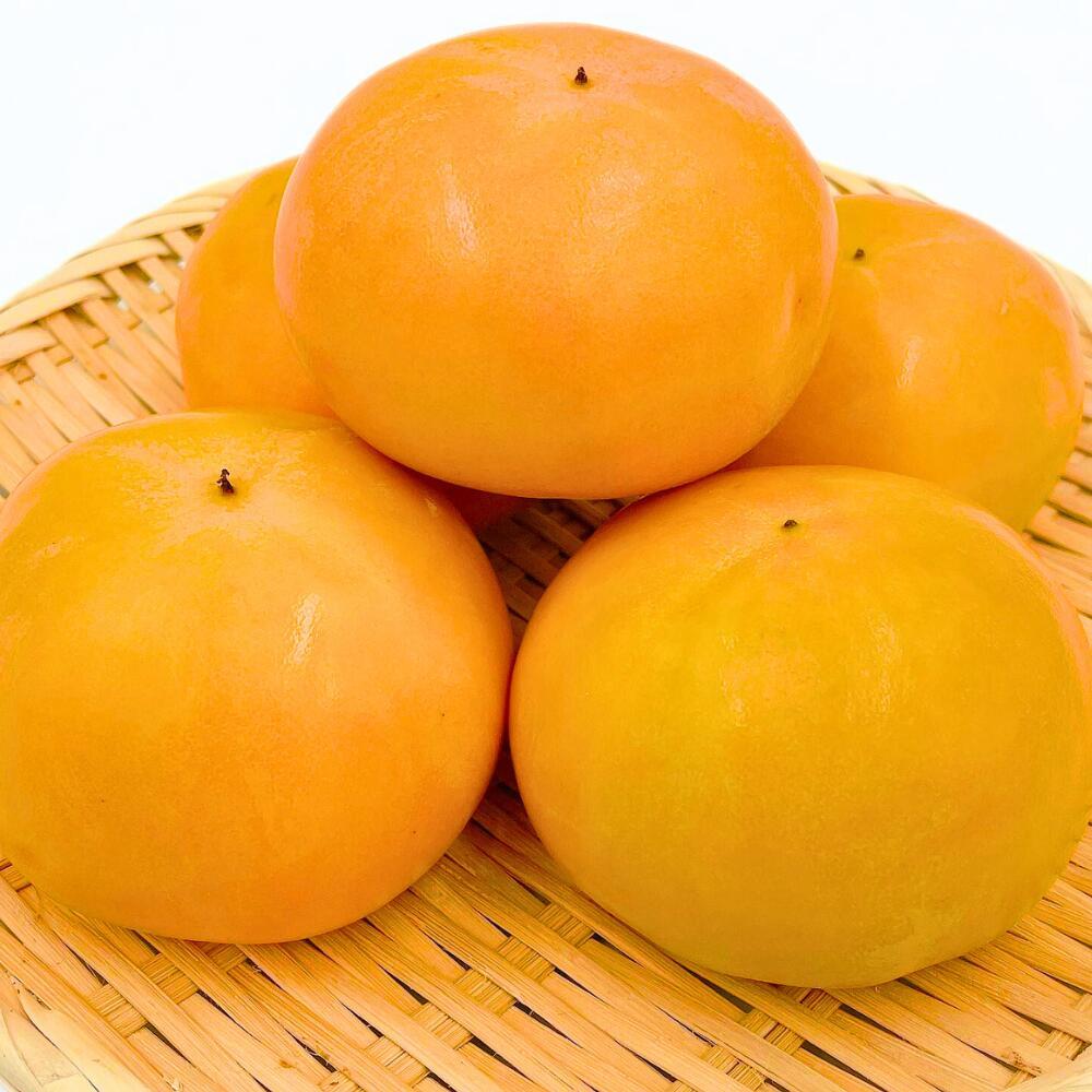 【ふるさと納税】内子町産　富有柿　2.2kg みきゃん箱【北海道・沖縄配送不可】 | フルーツ 果物 くだもの 食品 人気 おすすめ 送料無料