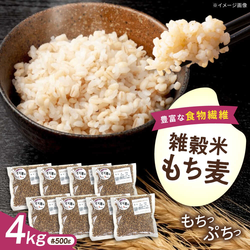 【ふるさと納税】内子町産もち麦4kg ／ 国産 雑穀米 もち麦 モチムギ モチ麦 もちむぎ 麦 むぎ ムギ ごはん おすすめ 食品 送料無料 米 内子町産 もち麦ごはん ご飯 食物繊維 人気 贈答 ギフト 4kg 【株式会社内子フレッシュパークからり】[BKAD011] 20000 20000円 2万円｜愛媛県内子町