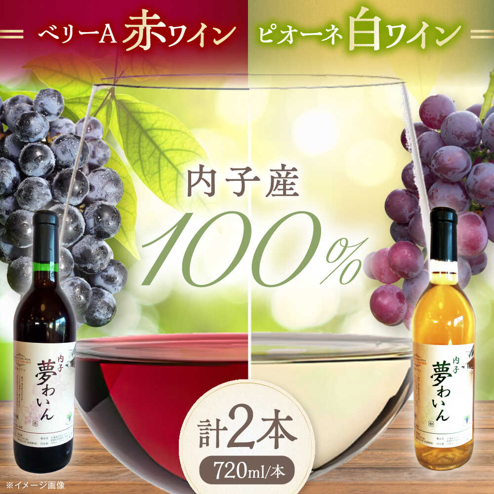 【ふるさと納税】内子夢わいん 赤(ベリーA)+白(ピオーネ) 1本約720ml 各1本入りセット 計1440ml / ワイン 赤ワイン 白ワイン わいん wine お酒 酒 洋酒 愛媛県 愛媛 内子町 国産ワイン 日本ワイン 果実酒 送料無料 人気 家飲み 【企業組合内子ワイナリー】[BKAG005] 20000