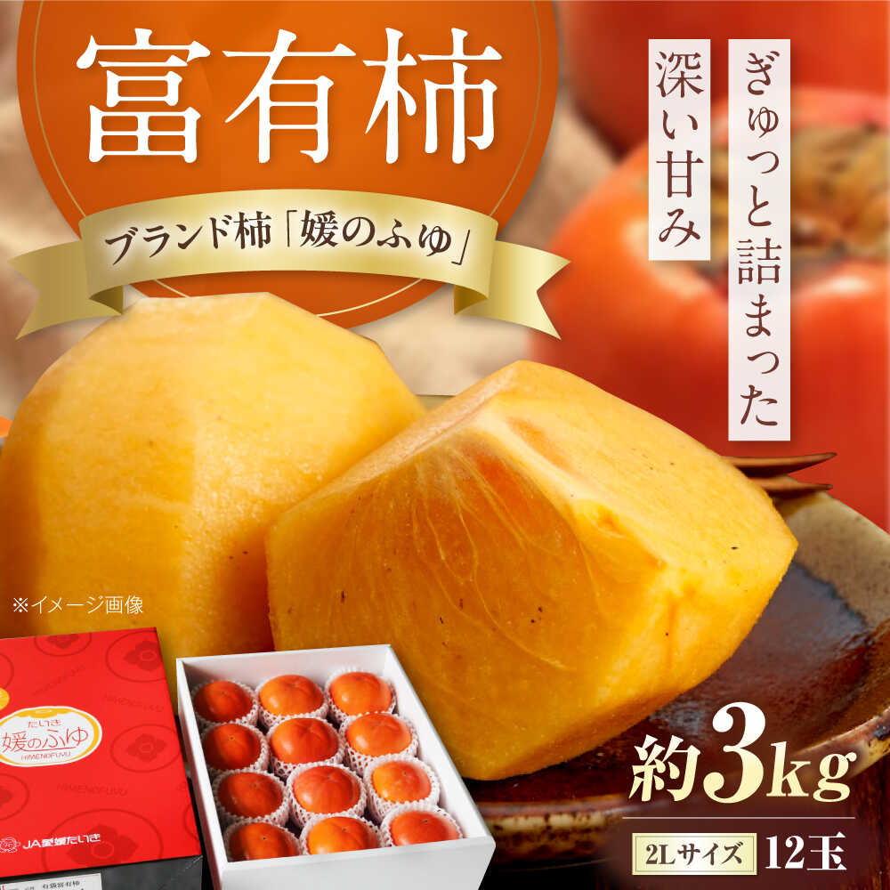 【先行予約】【ふるさと納税】有袋富有柿 2L玉サイズ 約3kg（12玉入り）／フルーツ 果物 くだもの 食品 人気 内子町 柿 カキ かき 富有柿 ふゆうがき 甘い 旬 おすすめ 送料無料 国産 愛媛 【愛媛たいき農業協同組合 果樹生産出荷協議会 柿部会】[BKAL001]｜愛媛県内子町 9,800円