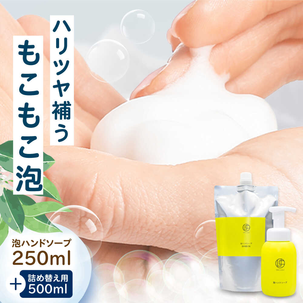 【ふるさと納税】うちこコスメ 泡御手手石ケン 250ml＆詰め替え用500ml書き割り ／ 人はだ世話をする 洗い濯ぎ かざり付ける品 コスメ 美容 日装置 御手手石ケン はんどそーぷ 幼児用便器 泡御手手石ケン 愛媛県 内子町 貨物輸送無料 呉れて遣る 差し上げ物 【昭和刷子株式会社組織】[BKAZ002] 10000 10000円 1万 1万円