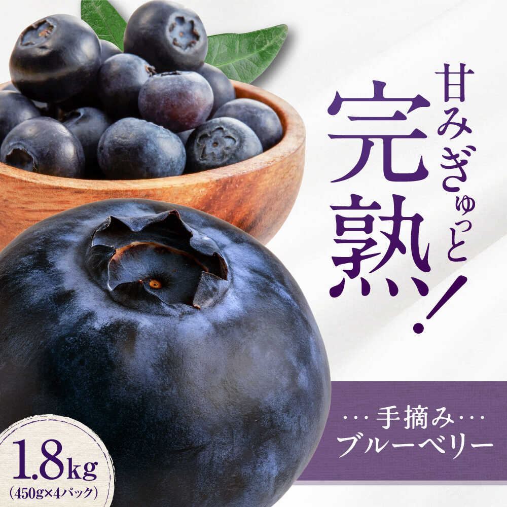 【ふるさと納税】【先行予約】手摘み ブルーベリー 詰め合わせ 450g×4パック ＜2026年7月下旬より発送＞ ／ ブルーベリー 果物 フルーツ ベリー 国産 産地直送 農家直送【周年観光農園エコファームうちこ】[BKBW001] 15000 15000円