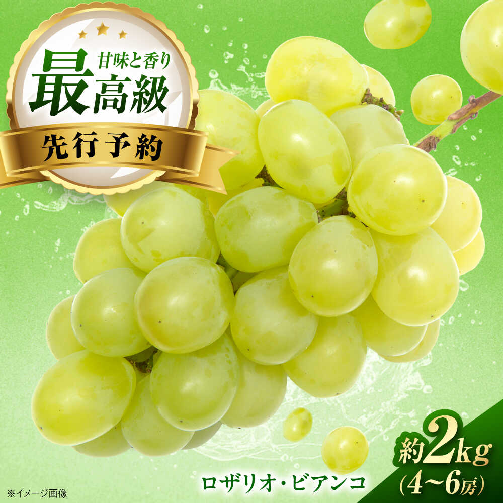 【ふるさと納税】【先行予約】ロザリオ・ビアンコ 約2kg1箱（4房～6房）＜2026年8月下旬から発送＞/ ロザリオ・ビアンコ ぶどう ブドウ 葡萄 愛媛県 愛媛 内子町 フルーツ 果物 送料無料 美味しい おすすめ 人気 皮ごと 特産品 四国 国産 【有限会社ふじブドウ園】[BKCW002]
