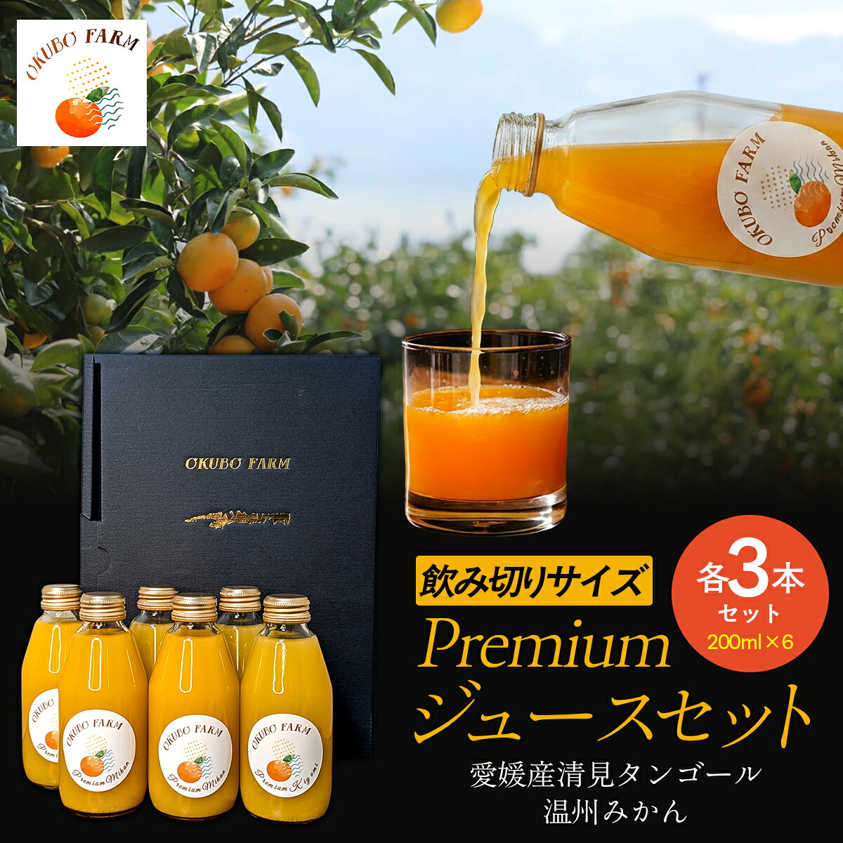 【ふるさと納税】Premiumジュース飲み切りサイズセット【ふるさと納税 人気 おすすめ ランキング 柑橘 みかん ミカン フルーツ ジュース みかんジュース ミカンジュース オレンジジュース 清見 温州みかん 果物 OKUBO FARM 愛媛県 伊方町 送料無料】IKTAT014｜愛媛県伊方町