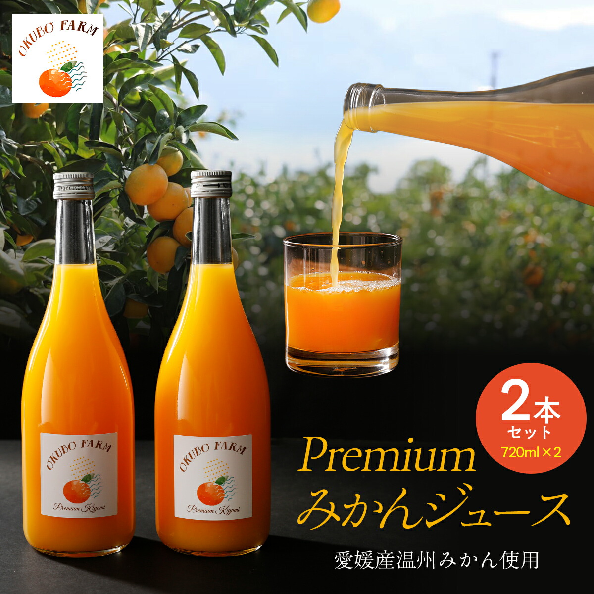 【ふるさと納税】 Premiumみかんジュース(2本セット)※北海道・沖縄・離島への配送不可 【 ふるさと納税 人気 おすすめ ランキング 柑橘 みかん ミカン フルーツ オレンジジュース 温州みかん 温州ミカン 温州蜜柑 果物 ジュース 愛媛 OKUBO FARM 愛媛県 】 IKTAT002