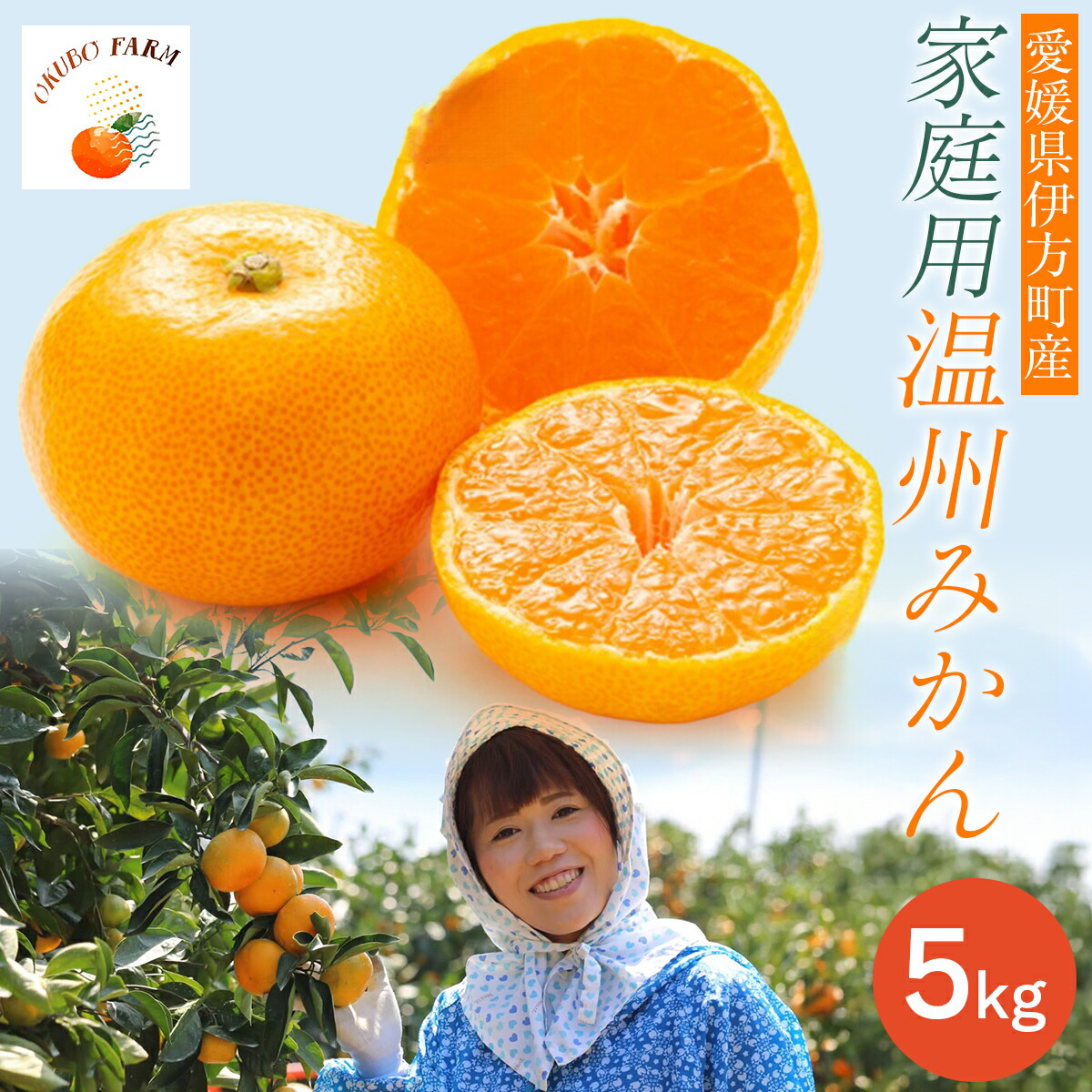 【ふるさと納税】【先行予約】【家庭用】温州みかん 5kg ※北海道・沖縄・離島への配送不可 （2025年12月1日より順次発送予定） 【 ふるさと納税 人気 おすすめ ランキング みかん フルーツ 温州みかん ミカン 温州蜜柑 果物 OKUBO FARM 愛媛県産 家庭用 愛媛県 】 IKTAT003