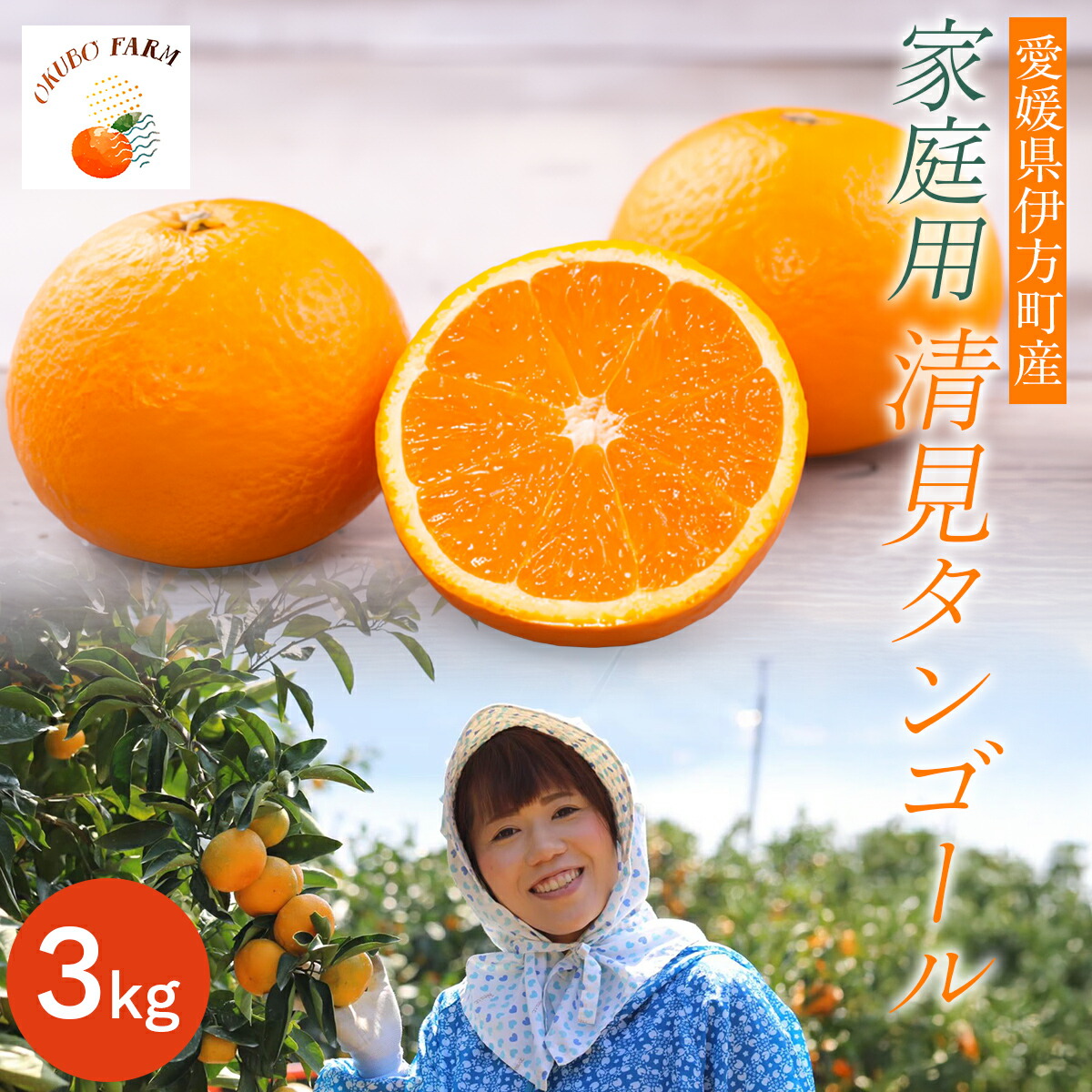 【ふるさと納税】【先行予約】【家庭用】清見タンゴール 3kg ※北海道・沖縄・離島への配送不可（2026年3月中旬より順次発送） 【 ふるさと納税 人気 おすすめ ランキング 柑橘 みかん 清見タンゴール 清見 フルーツ OKUBO FARM 愛媛県産 家庭用 愛媛県 伊方町 】 IKTAT005