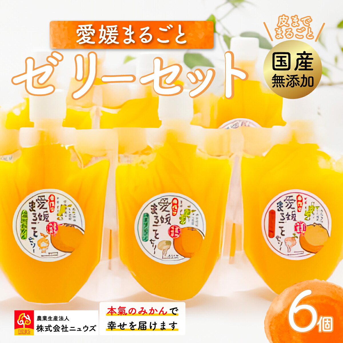 【ふるさと納税】【皮までまるごと国産無添加】愛媛まるごとゼリーセット（6個） 【ふるさと納税 人気 おすすめ ランキング みかん ミカン 蜜柑 ゼリー セット フルーツ 果物 ニュウズ 愛媛県 伊方町 送料無料】 IKTF011