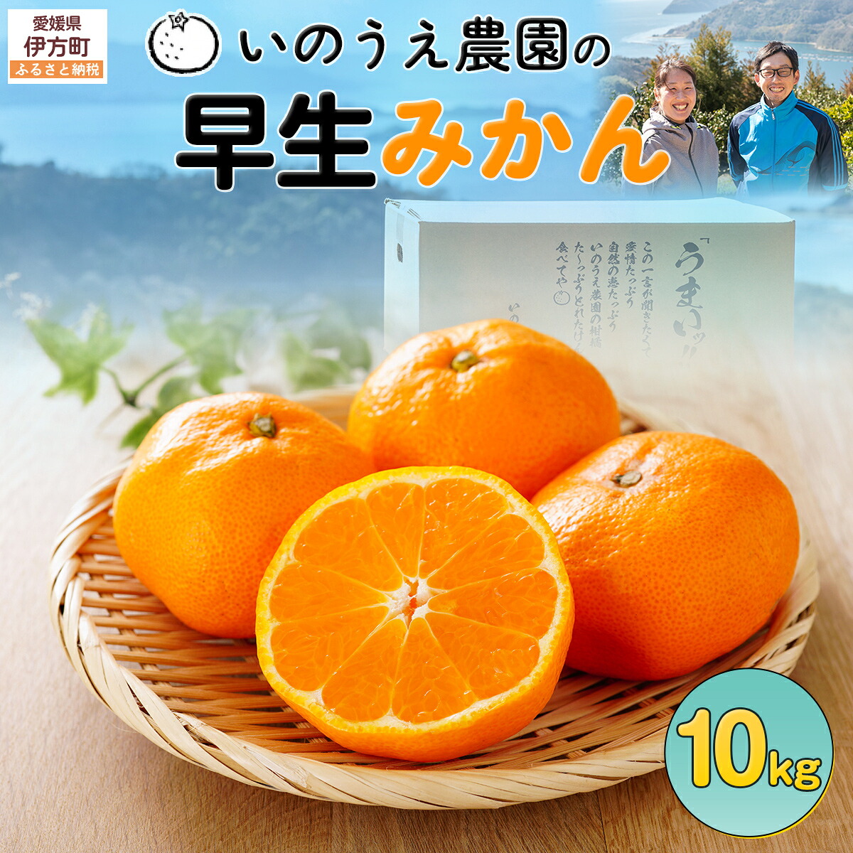 【ふるさと納税】【先行予約】いのうえ農園の早生みかん 10kg ※離島への配送不可（2026年11月中旬より順次発送） IKTAI010｜愛媛県伊方町 14,820円