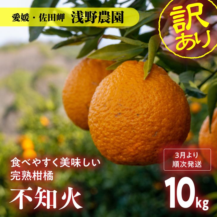 楽天市場】【ふるさと納税】【先行予約受付中】産地直送！愛媛県産せ