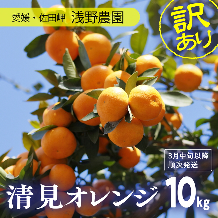 楽天市場】【ふるさと納税】【先行予約受付中】産地直送！愛媛県産せ